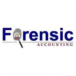 Forensic Accounting Site Icon